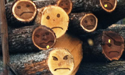 Sad Lumber-Kevin Weidemann