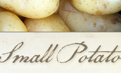 Small Potato Satyagraha-Dena Rash Guzman
