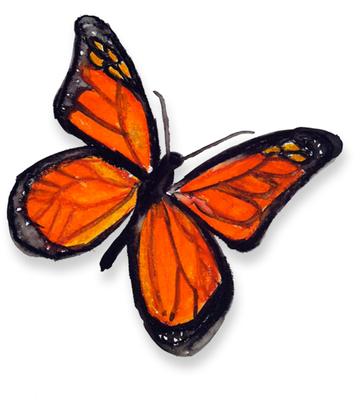 butterfly painting by kevin weidemann