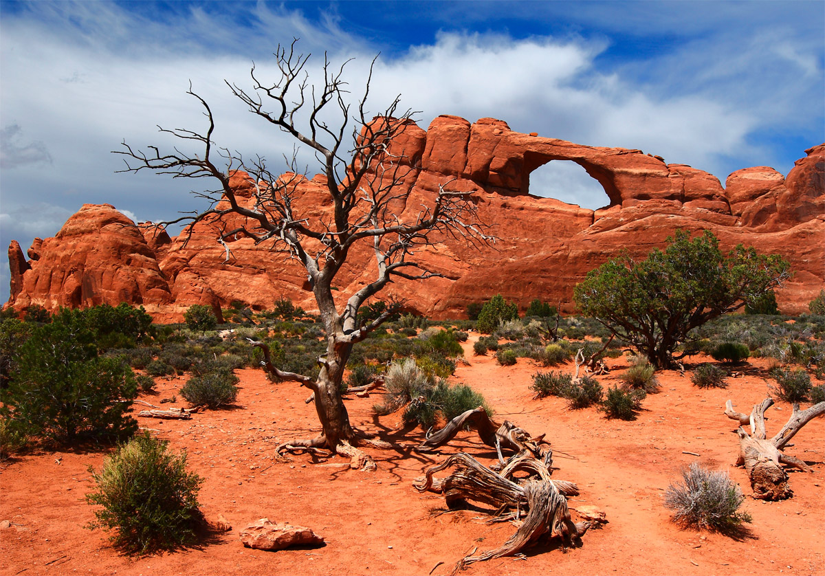 The Skyline Arch at Arches National Park, Utah, USA. Photo by Sanjay Acharya