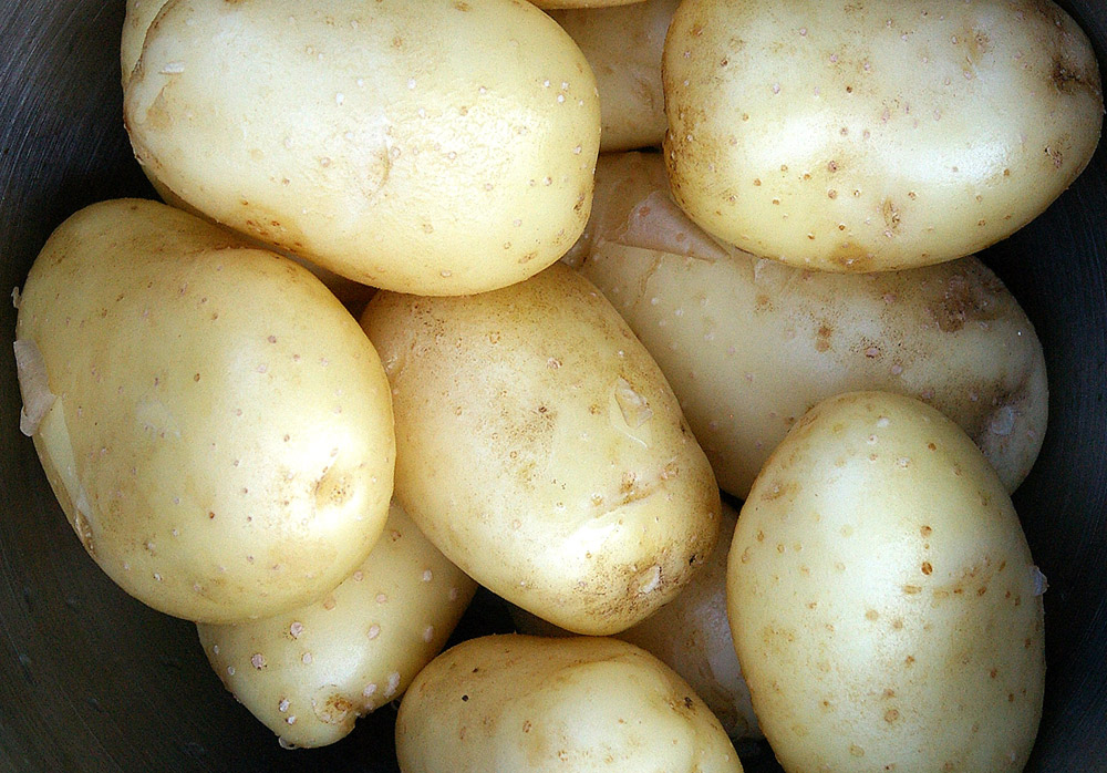 Potatoes photo by Yellow Tree Farm