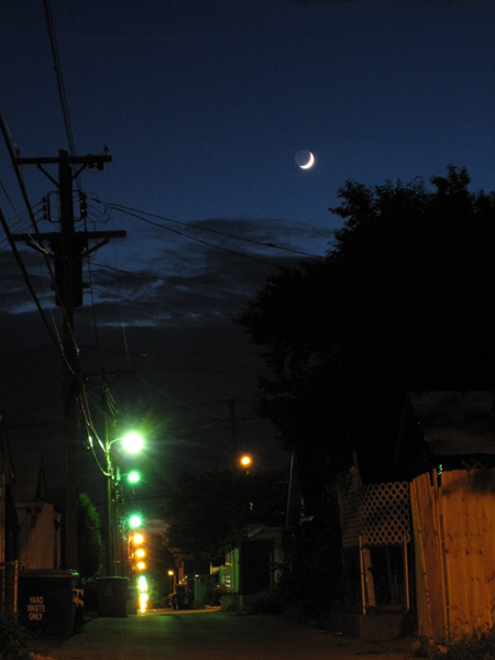 this is living city alley